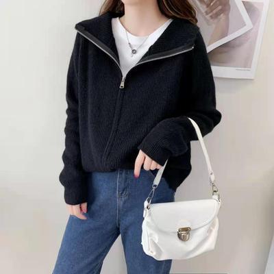 Winter Casual Fashion Style High Collar Thickened Knitted Cardigan Korean Ins Zipper Design Hip Hop Warm Lapel Sweater For Women