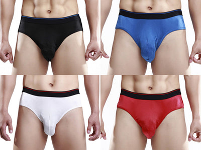 Mens Underwear 4 Pair  Silk Knit Men's Wide Waistband Brief Solid Men Panties Size US S M L XL XXL