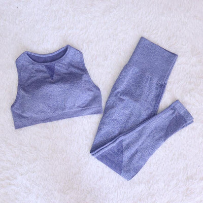 women Mesh Seamless yoga set Sports Suits Women&#39;s Yoga Set High Waist GYM Fitness Pants Top Sportswear Women Leggings+Bra